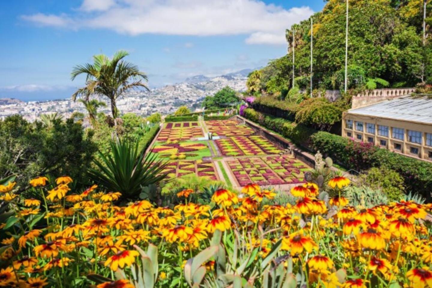 Comfortable 2-Bedroom Apartment For Relaxing Stays Funchal (Madeira) Exterior foto